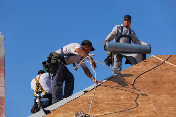 Best Roof Waterproofing Services  in West Livingston, TX