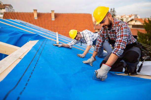 Best Storm Damage Roof Repair  in West Livingston, TX